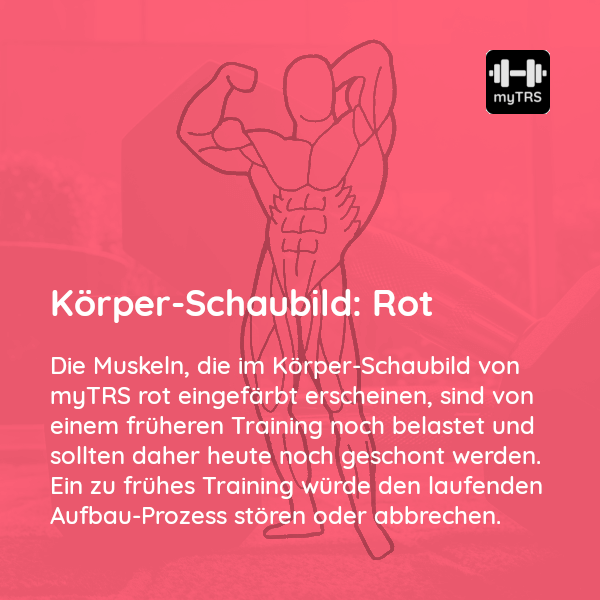 Rot