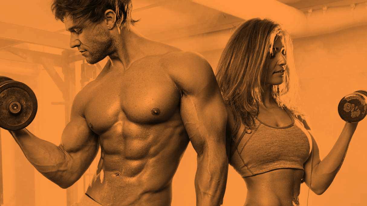 myTRS: Online tool for muscle building and power sports